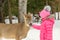 Girl feeding deer in the Omega Park of Quebec