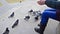 Girl feeding flock of pigeons