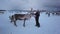 Girl feeding reindeer in the winter