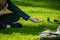 Girl feeds birds with bread in the park. A teenager feeds the hands of sparrows