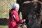Girl  feeds a bison through the bars