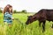 Girl feeds the calf grass