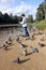 Girl feeds ducks and pigeons birds on the shore of the pond