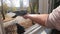 Girl feeds gray pigeon that sits on her palm hand on sunny autumn day.