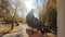 Girl feeds a pigeon that sits on her hand on a sunny autumn day