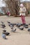 The girl feeds pigeons with bread on the street