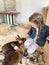 A girl feeds rabbits of the chinchilla rex breed