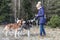 Girl feeds treats husky dogs for a walk in the winter European Park. Hostess feeds with hands Siberian huskies