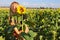 Girl in a field of blooming sunflowers in nature. Happy, perky and cheerful