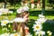 Girl in a field of camomiles catching a butterfly