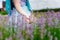 Girl in the field of organic lavender flowers