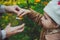 Girl fills Bottle with autumn treasures