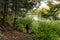 Girl finds log on her path while lost in the woods. Temperature is cold, a lake is nearby, and she is alone