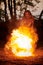 Girl fire dancing performance at outdoor art festival, smooth movements of female artist