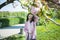 Girl fixes her hair while winding under sakura tree