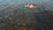 A girl floats on a rubber ring in the sea. Sea vacations in summer. Aerial shot