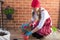 Girl with flowerpot replant flower of cyclamen