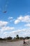 Girl Flying a Kite at the Beach