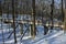 Girl on Footbridge to Nature Center  800811