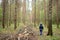 Girl in the forest on a clearing cut down, trees. Felling. The grass is green around tall slender trees. Passage in the forest