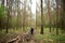 A girl in the forest in a clearing of felled trees. Felling. The grass is green around tall slender trees. Passage in the forest