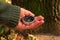 Girl in forest holds a compass in her hand