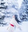 A girl in a forest winter glade among the trees.