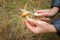 The girl found a mushroom Suillus in the forest