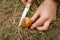 The girl found a mushroom Suillus in the forest and cut it