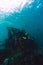 Girl freediver explores the old ship in the Caribbean sea