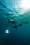 Girl freediving underwater with cute turtle in blue sea