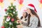 Girl with friend decorating Christmas tree at home