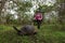 Girl and Galapagos turtle