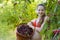 Girl in garden with a sweet cherry basket