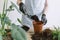 Girl gardener with shovel pours peat into pot