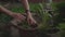 Girl gardener takes care of plants in the garden. hands close up