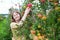 Girl gathering apples on a farm
