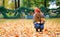 Girl gathering autumn leaves in park