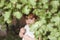 Girl gathering berries