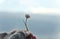 Girl with glove hand holding a beautiful white Daisy on the horizont. Beautiful tranquil nature represent peaceful moment