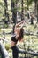 Girl go in for sports in the forest. Exercises, gymnastics, relaxation. Healthy lifestyle.