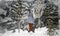 Girl in a gray hat and a blue jacket with white boots on a background of a beautiful winter landscape. Winter in Karelia..marble