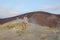 A girl on the Gray Hydrogen Volcano and Volcano Craters on Vulcano Island, Lipari, Italy. Sunset, Gas, Sulfur, Poisonous Pairs,