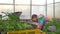 Girl in greenhouse taking care of plants in spring