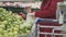 Girl in grocery store buys apples. She put fruit in bag. In foreground is cart