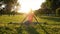 Girl gymnast sits on a splits on the grass in a city park on the nature and makes turns in the back and stretching