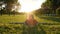 Girl gymnast sits on a string on the grass in a city park in nature and makes side bends to the legs.