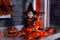 Girl in halloween costume with spider