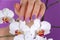 Girl hand with a lilac color nails polish gel and beautiful orchid flower decoration on purple background