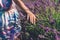 Girl Hand Touching Lavender Blossom